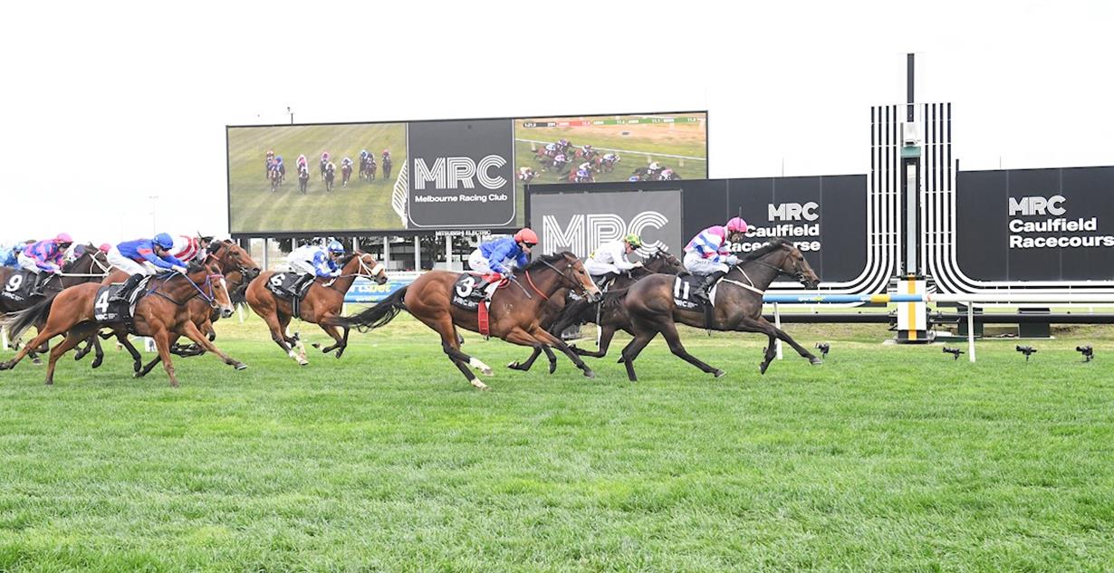 Yum - Caulfield 20th September (Listed Jim Moloney Stakes)